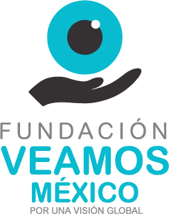 Fundación Veamos México